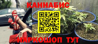 spice Жуковский