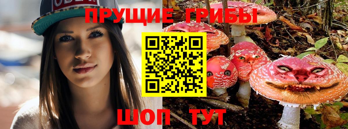 Клин  Псилоцибиновые грибы MAGIC MUSHROOMS  Вход с VPN 